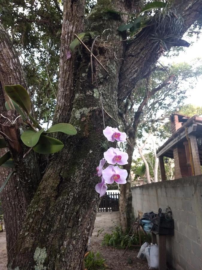 Casa Das Orquideas Arraial do Cabo Eksteriør bilde